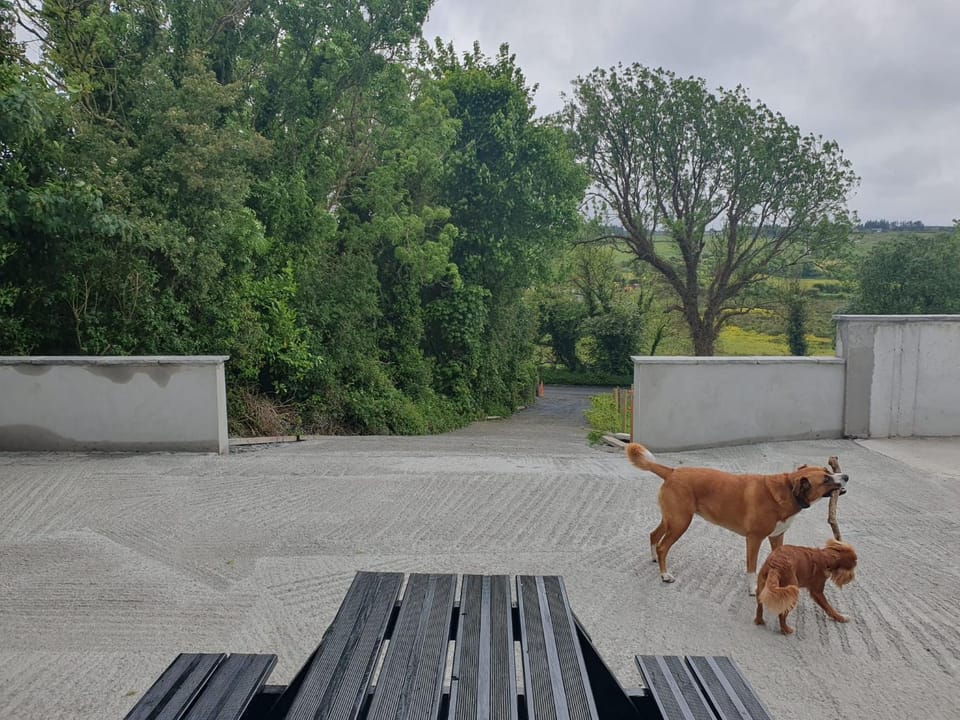 Hogan's Cottage House in County Clare