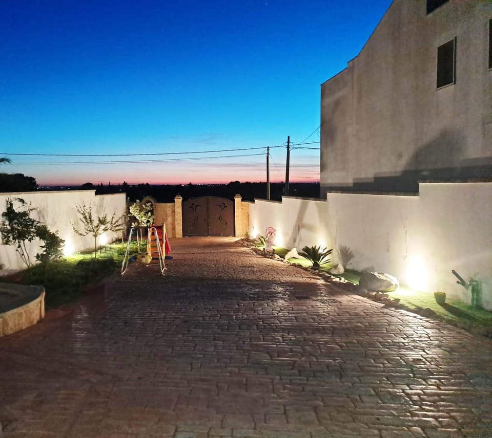 Night, Garden