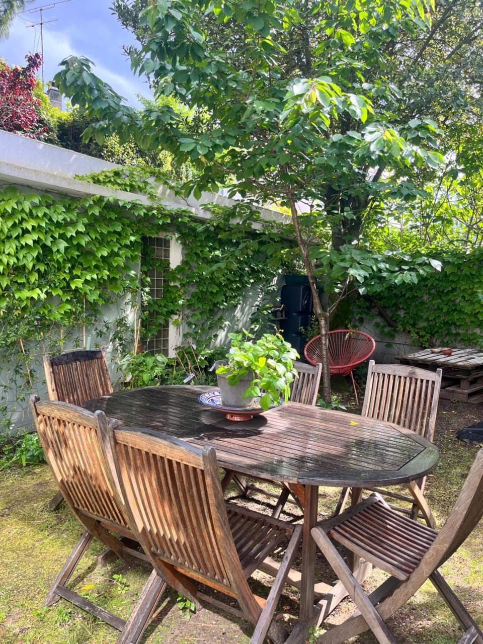 Garden