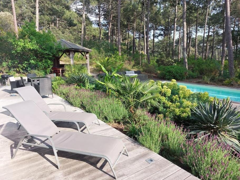 Maison au calme entre Océan et Lac, vue sur le golf, piscine chauffée, classée 4 étoiles Villa in Lacanau