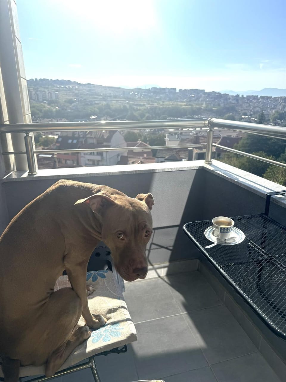 Day, View (from property/room), Balcony/Terrace, Pets