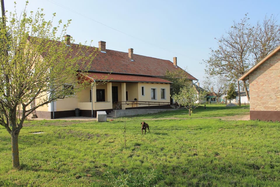 Peregi Vendégház Bed and Breakfast in Hungary