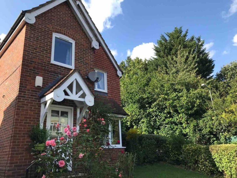 Property building, Garden, Garden view