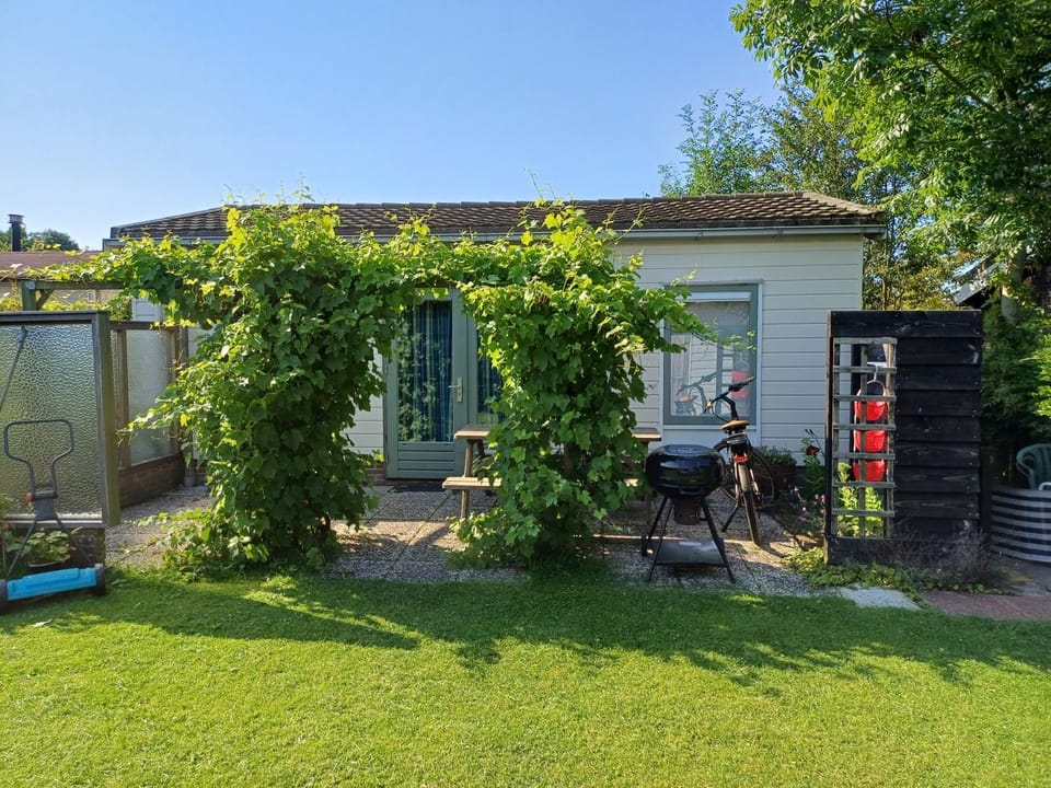 Property building, Garden view