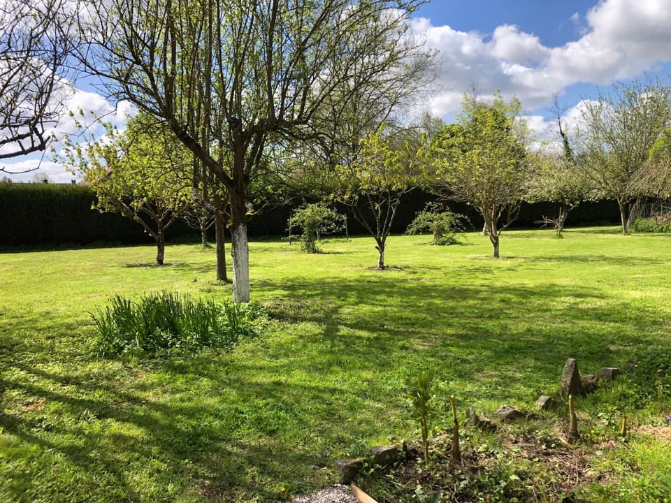 Spring, Natural landscape, Garden, Garden view