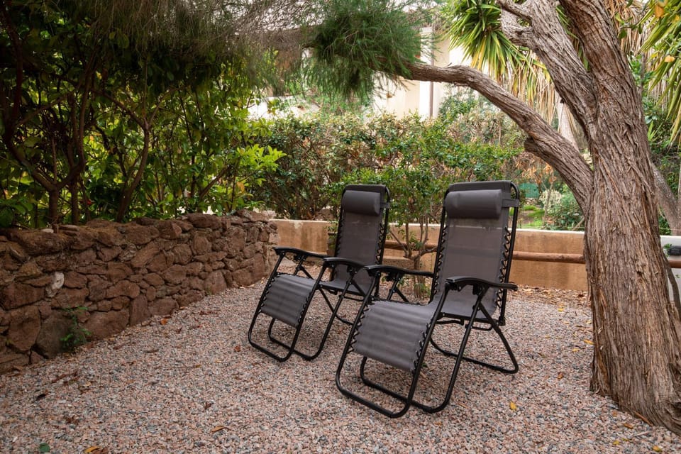 Patio, Garden, Garden view