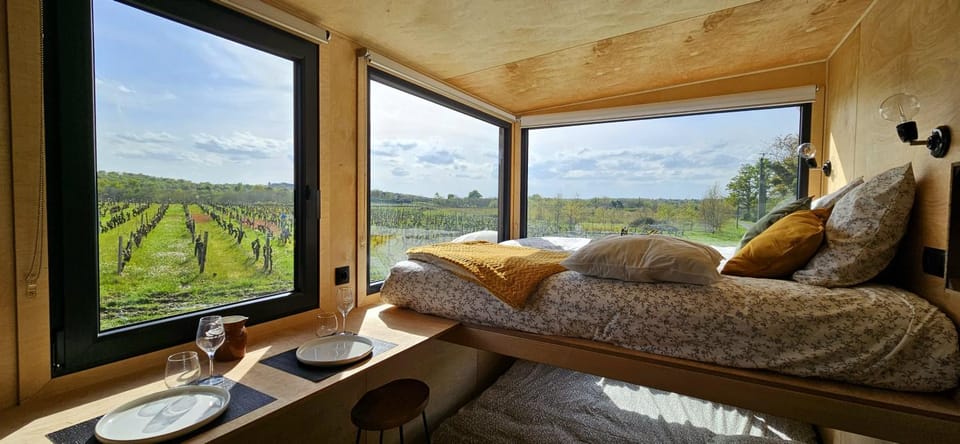 Bed, Natural landscape, Photo of the whole room