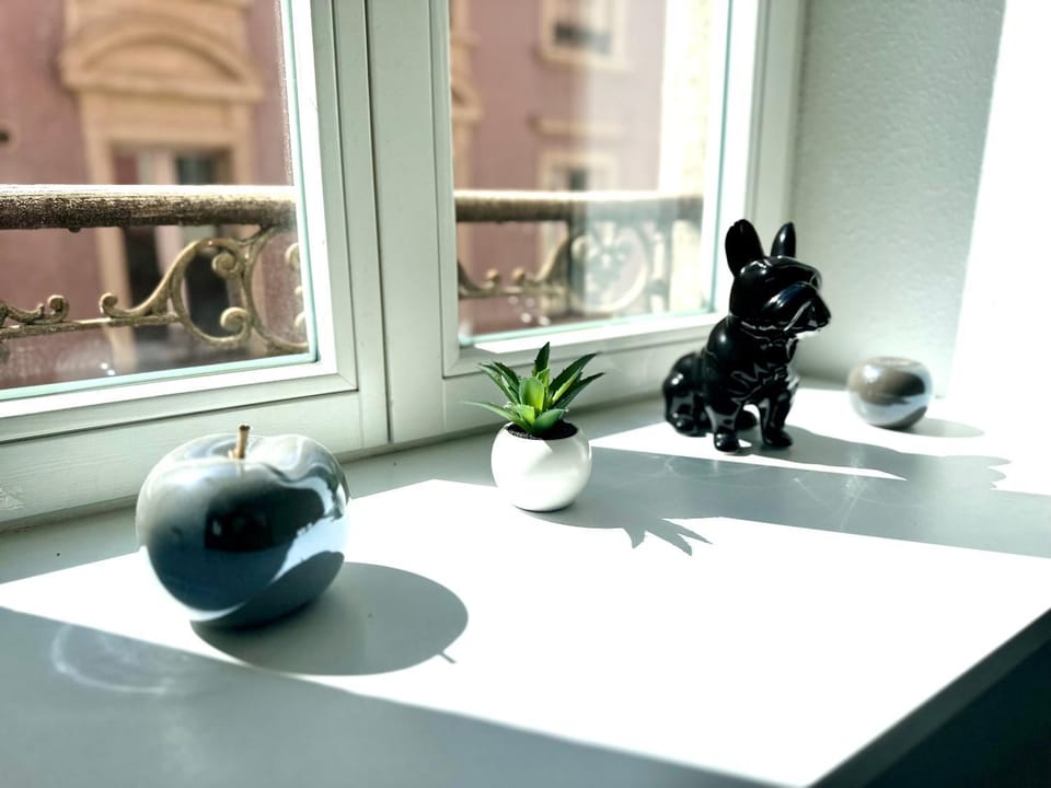 The Love intimité au cœur du centre-ville Apartment in Mulhouse