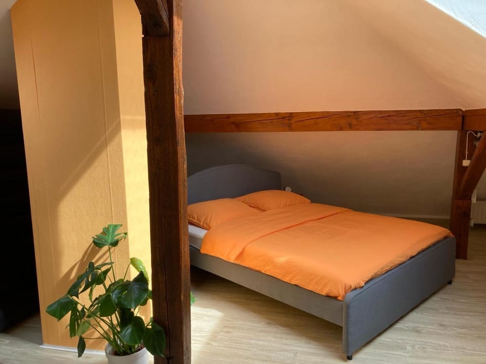 NaturPur Apartment in Monschau