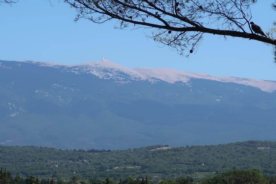 Villa design Mazanel, piscine, vue Mont Ventoux et plaine, climatisation Villa in Mazan