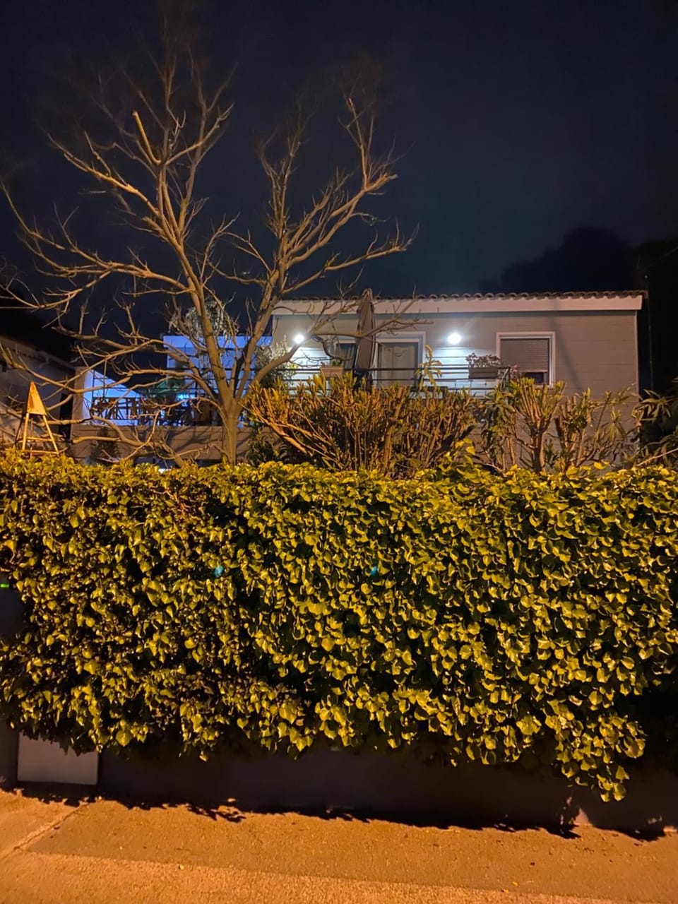 Night, Garden view