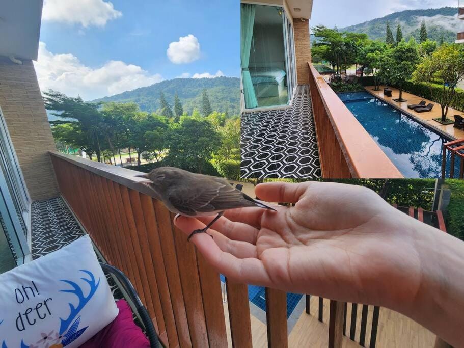 Property building, View (from property/room), Balcony/Terrace, Mountain view, Pool view