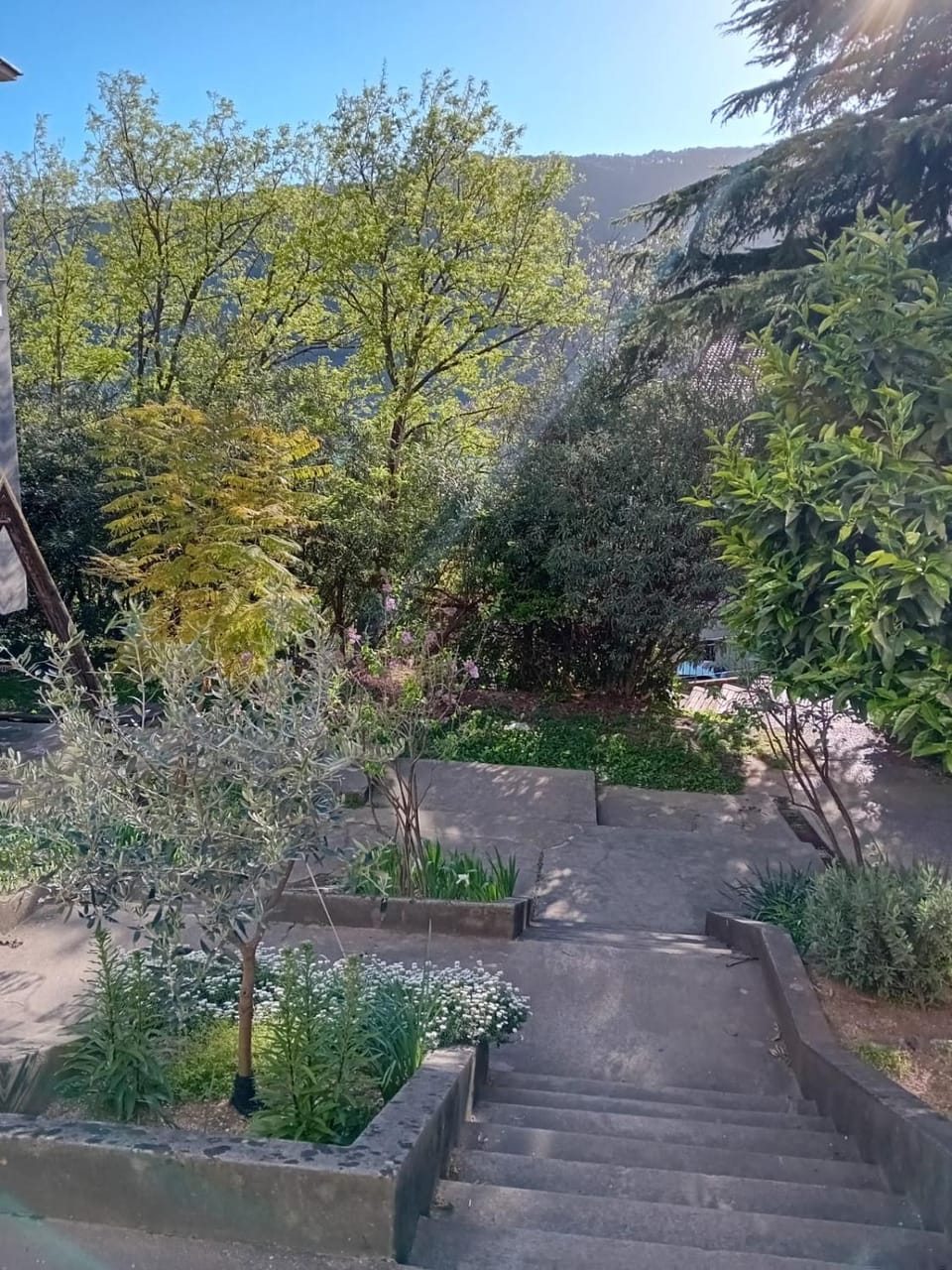 Garden, Garden view