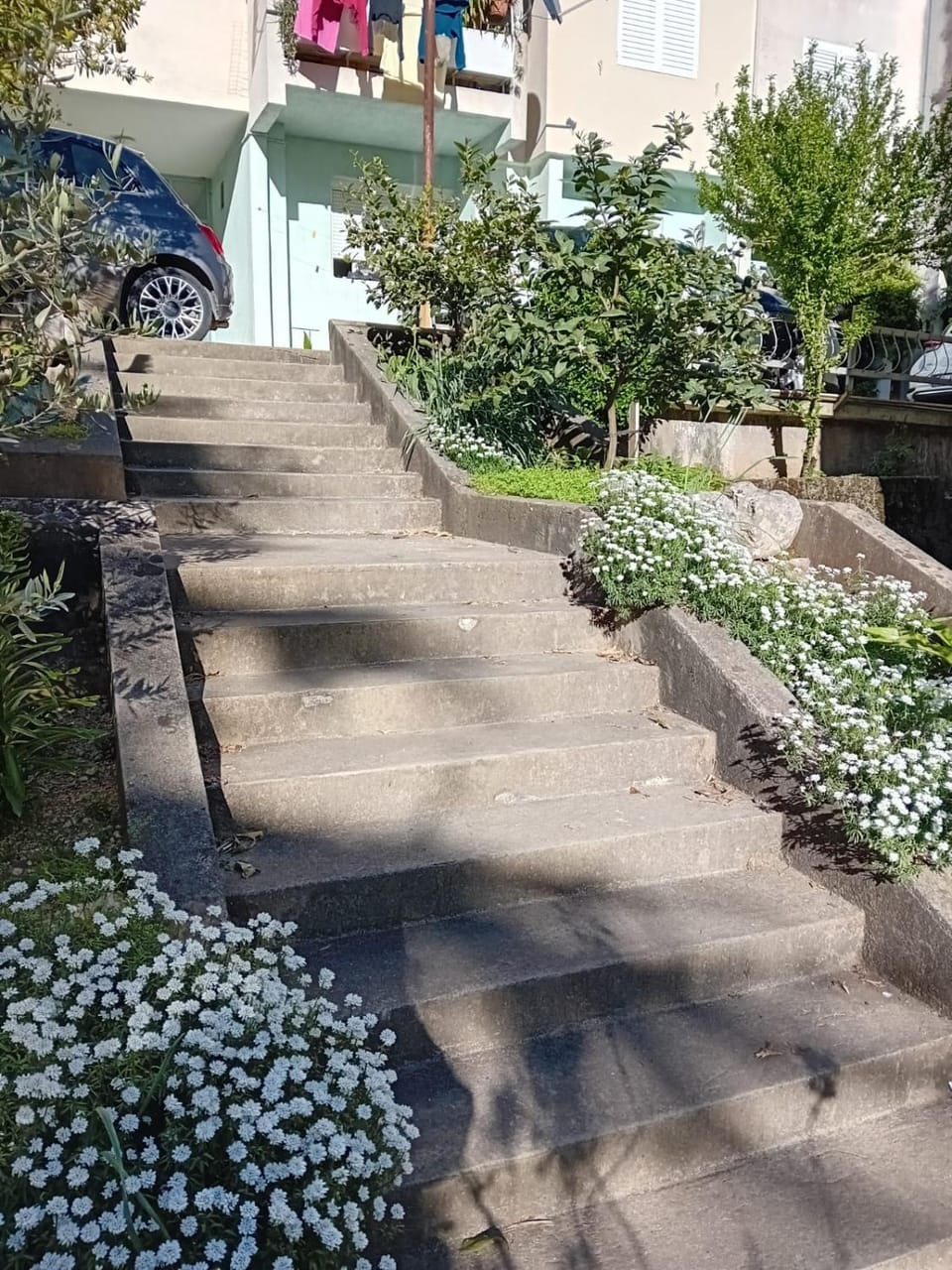 Garden, Garden view