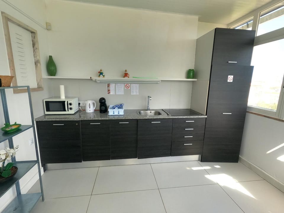 Kitchen or kitchenette, microwave, stove