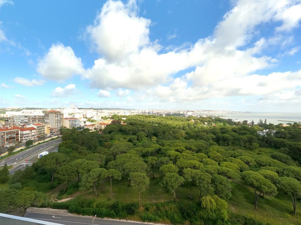 Natural landscape