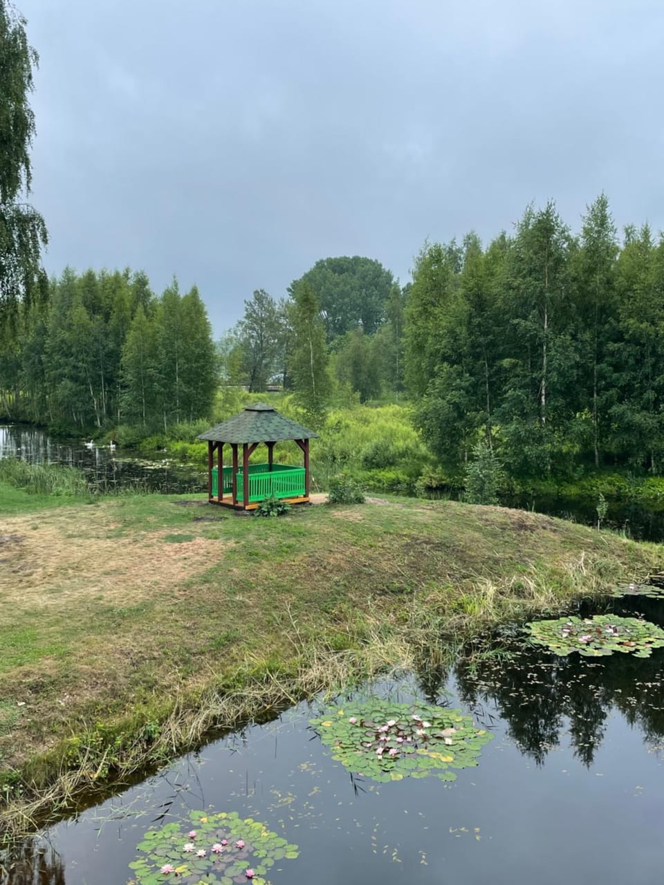 Natural landscape