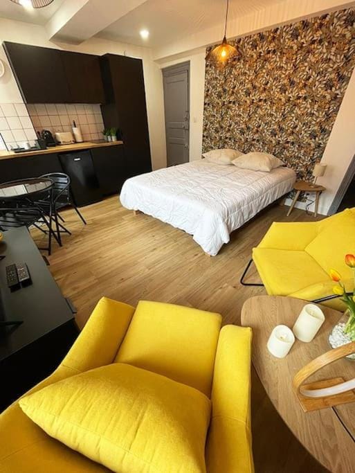 Studio Flowers - métro - wifi Apartment in Toulouse