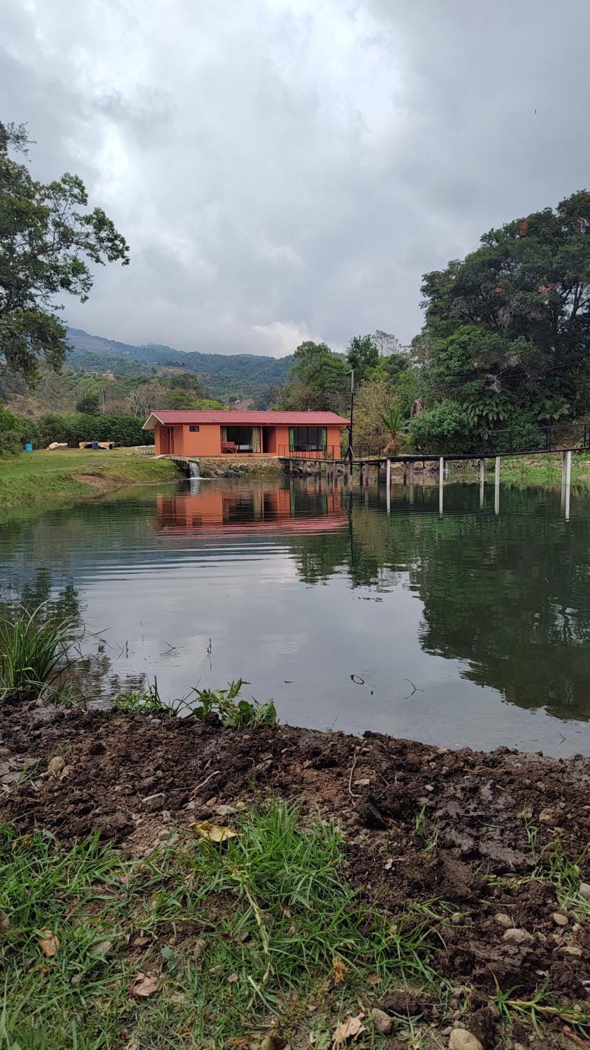 Lake view