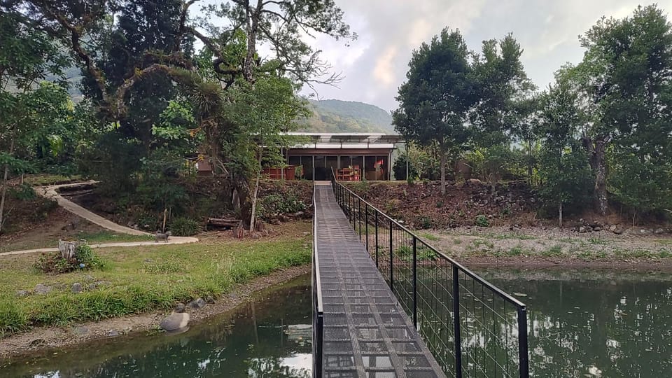 Lake view