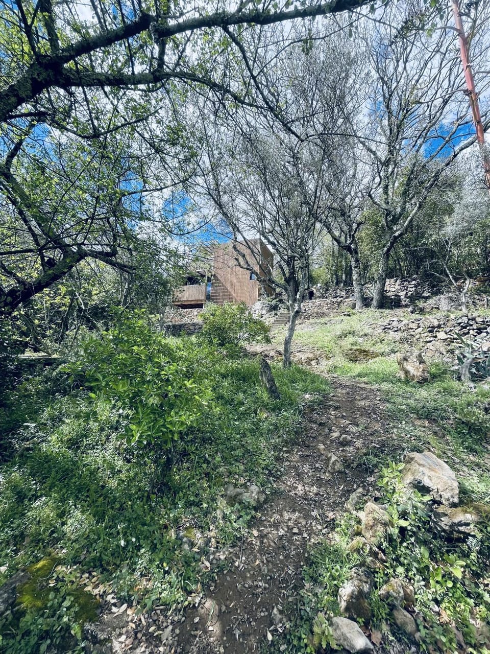 Property building, Facade/entrance, Garden