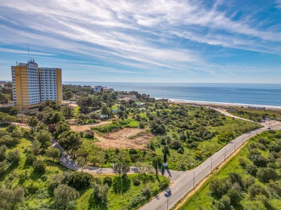 Spring, Bird's eye view, Beach