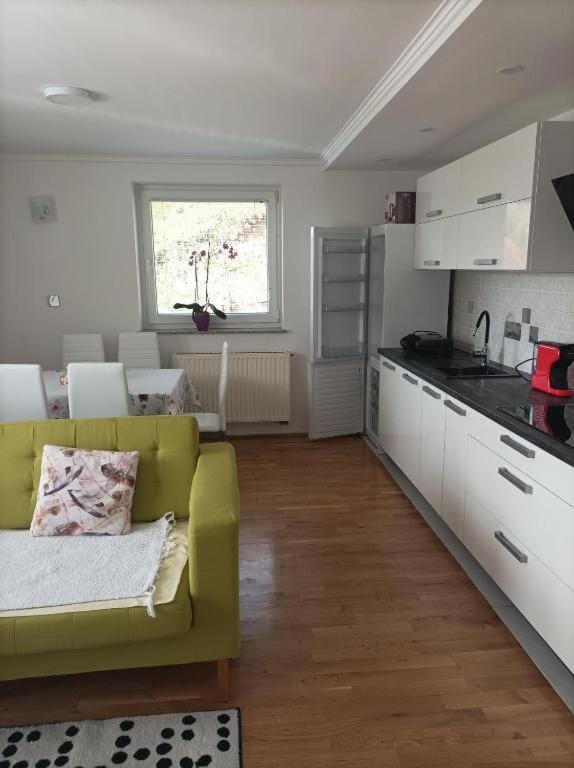 Kitchen or kitchenette, Living room, Seating area, Dining area