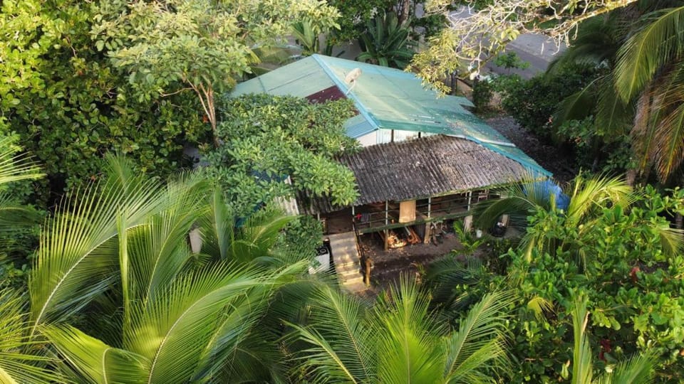 Property building, Natural landscape, Garden
