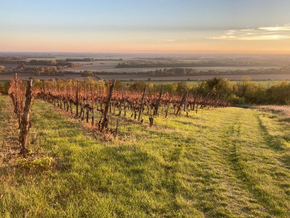 Nearby landmark, Neighbourhood, Natural landscape, Sunrise, Sunset