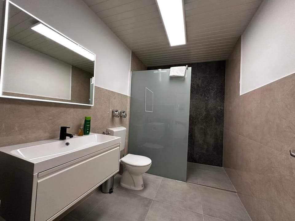 Shower, Toilet, Bathroom, TV and multimedia