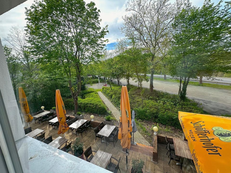 Patio, Spring, Day, Natural landscape, Garden, View (from property/room), View (from property/room), Garden view