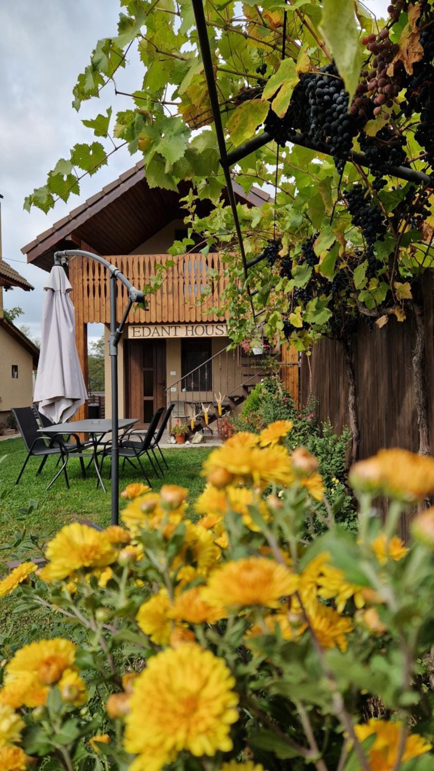 Garden, View (from property/room), Dining area, Autumn, Garden view
