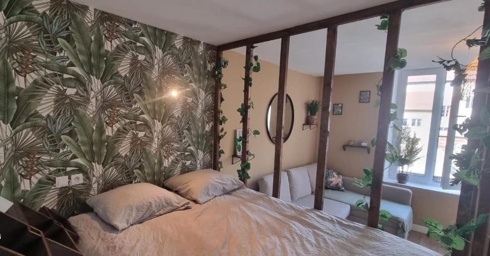 New jungle studio cœur de ville climatisé Apartment in Grand Est