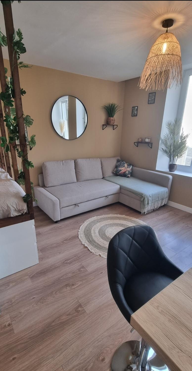 New jungle studio cœur de ville climatisé Apartment in Grand Est
