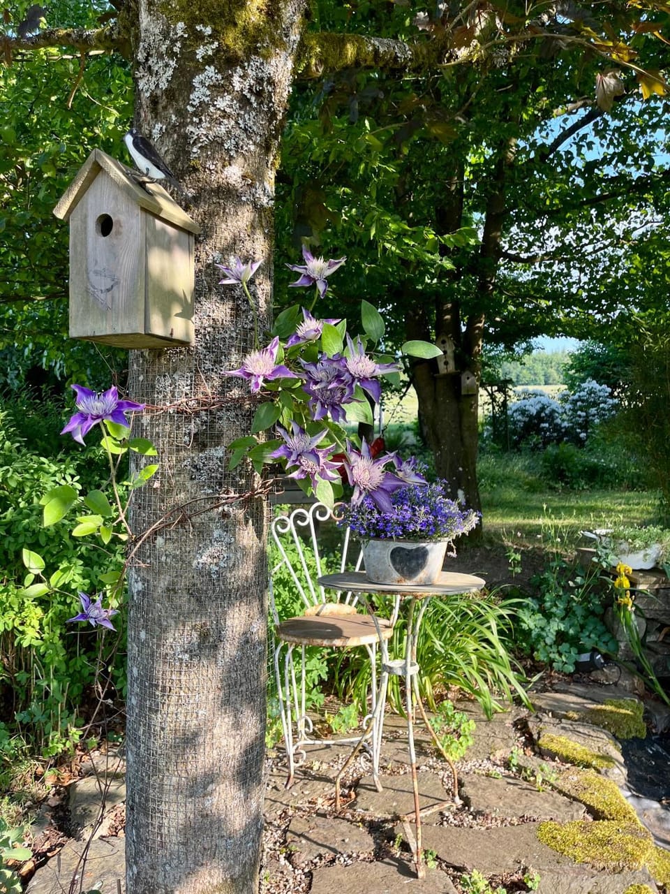 Spring, Day, Natural landscape, Garden