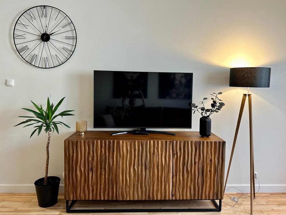 TV and multimedia