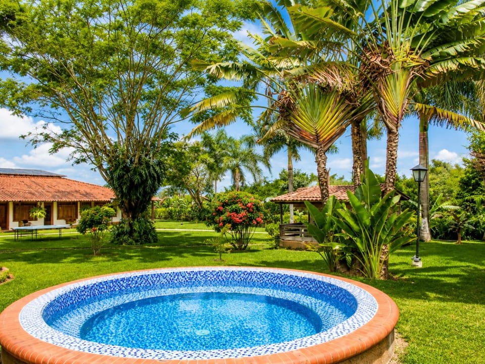 Natural landscape, Garden, Pool view, Swimming pool