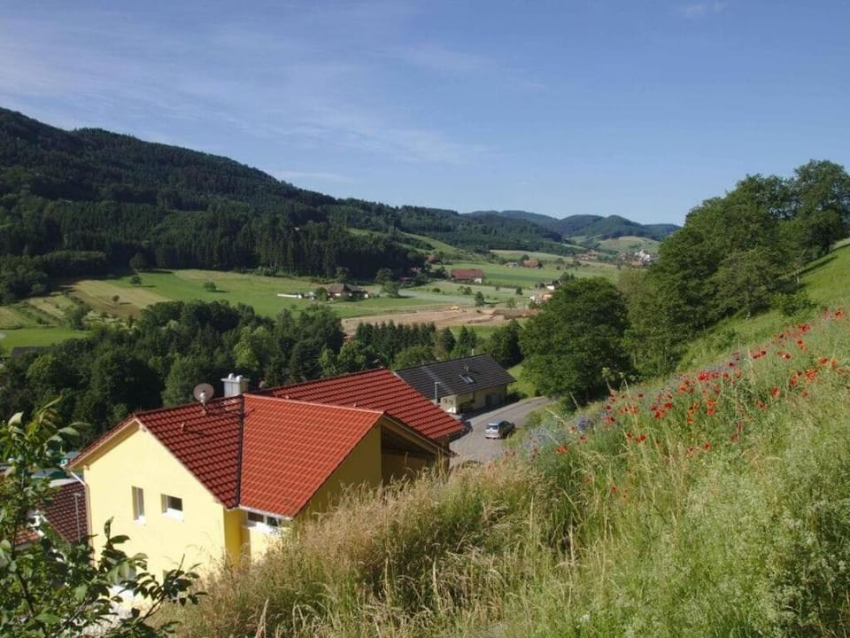 Property building, Other