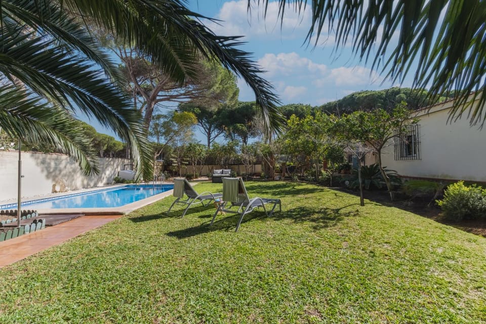 Day, Natural landscape, Garden, Garden view, Pool view, Swimming pool, sunbed