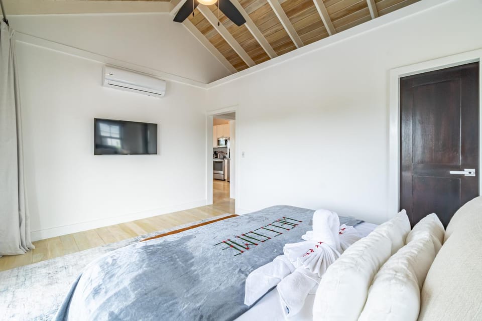 Casa Serena and Mistico Beach Club plus Boat Shuttle Villa in San Pedro