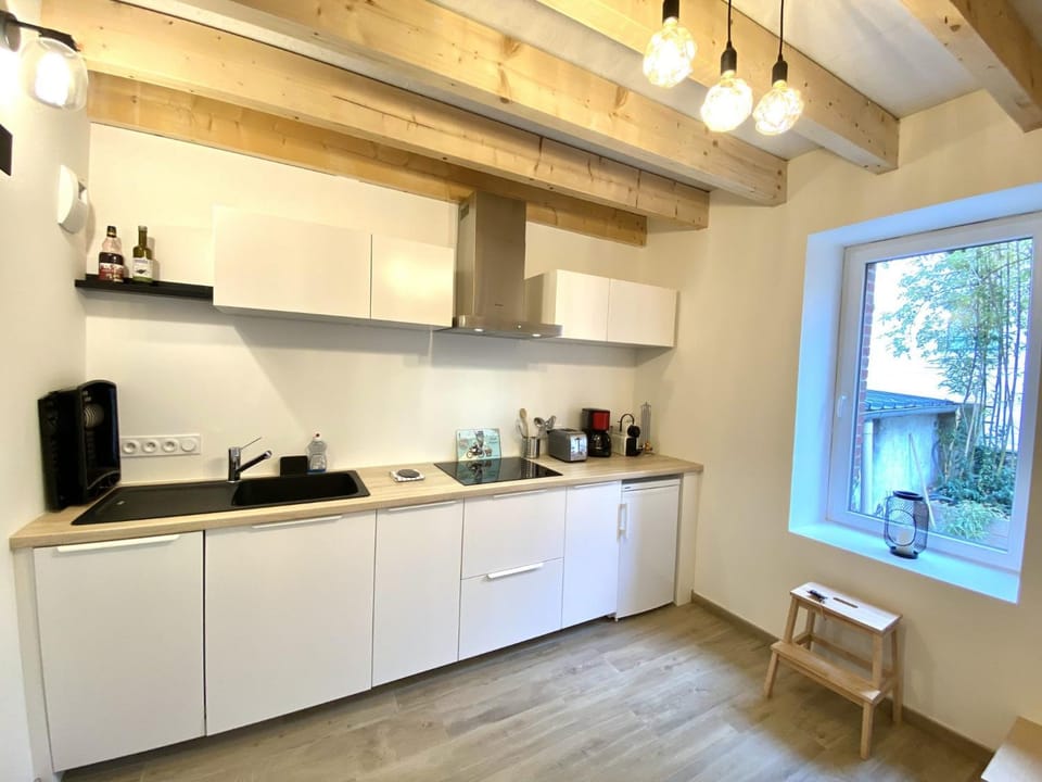 Coffee/tea facilities, Kitchen or kitchenette, minibar, pet friendly, stove, toaster