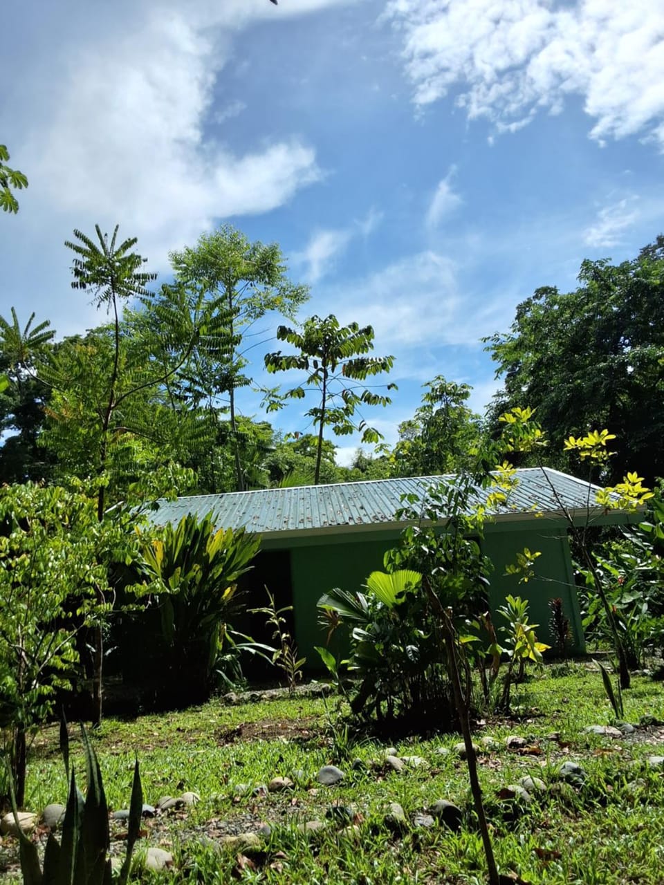 Lugar Mágico Apartment in Puerto Viejo Talamanca
