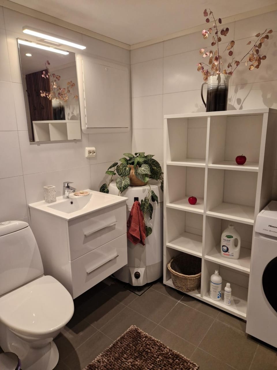 Shower, Toilet, Bathroom, washing machine