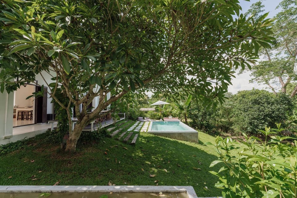 Natural landscape, Swimming pool, Swimming pool