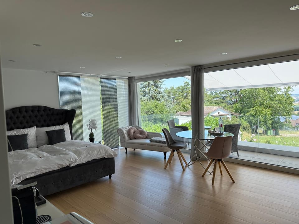 Deluxe Doppelzimmer mit Pool und Aussicht Vacation rental in Canton of Zurich