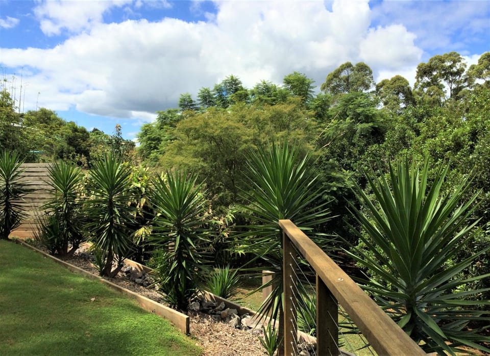 Natural landscape, Garden, Garden view