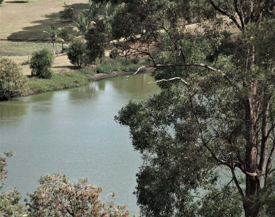 Natural landscape, Lake view