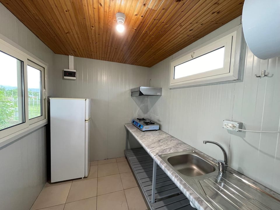 Kitchen or kitchenette, oven