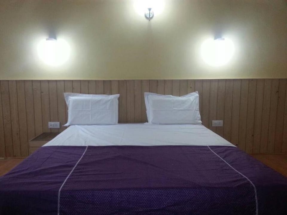 Hotel Raj Hotel in India