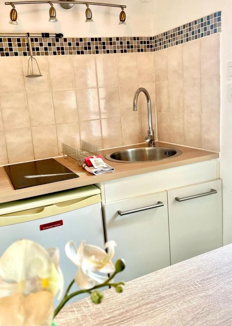 Le Petit Chartrain Apartment in Chartres